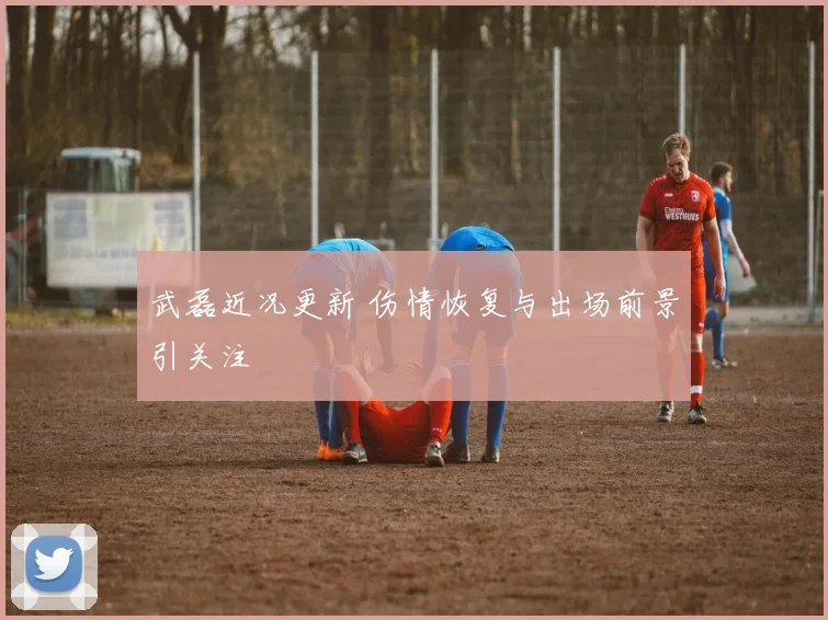 武磊近况更新 伤情恢复与出场前景引关注