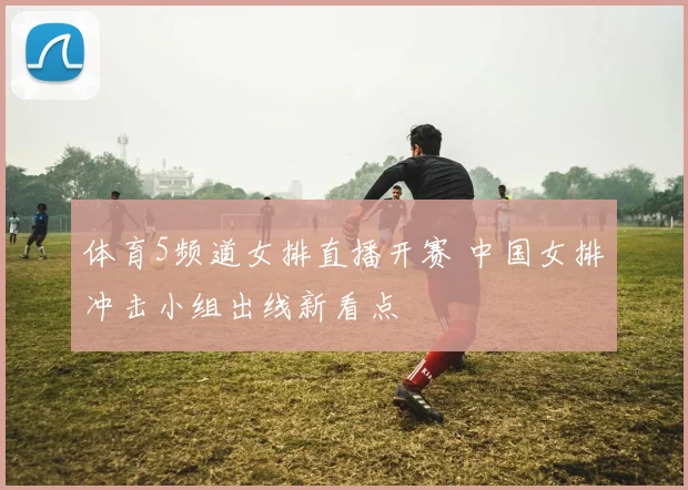 体育5频道女排直播开赛 中国女排冲击小组出线新看点