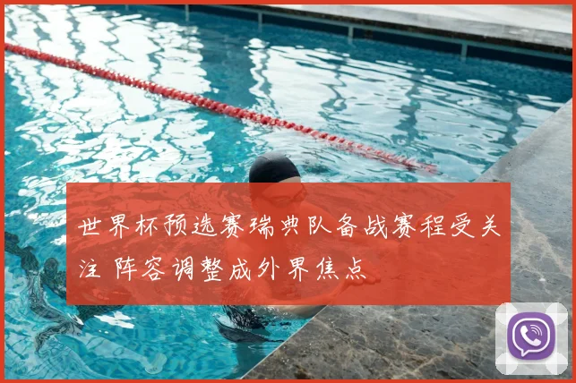 世界杯预选赛瑞典队备战赛程受关注 阵容调整成外界焦点